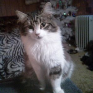 Meet your Posher, Charlotte